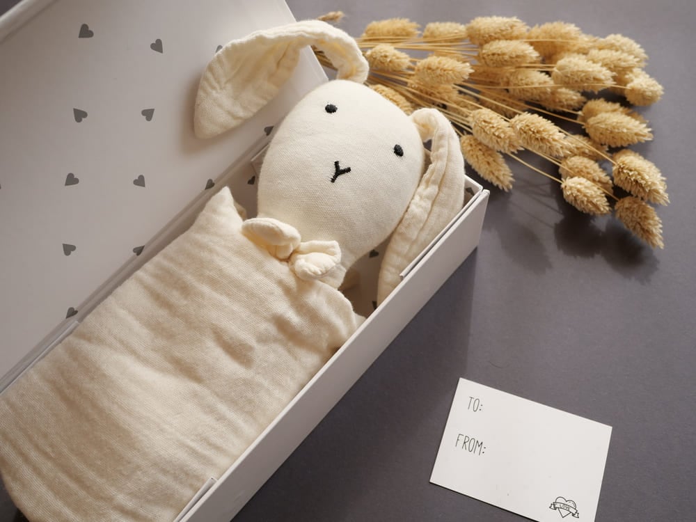 Babygeschenk mit Geschenkbox Schmusetuch
