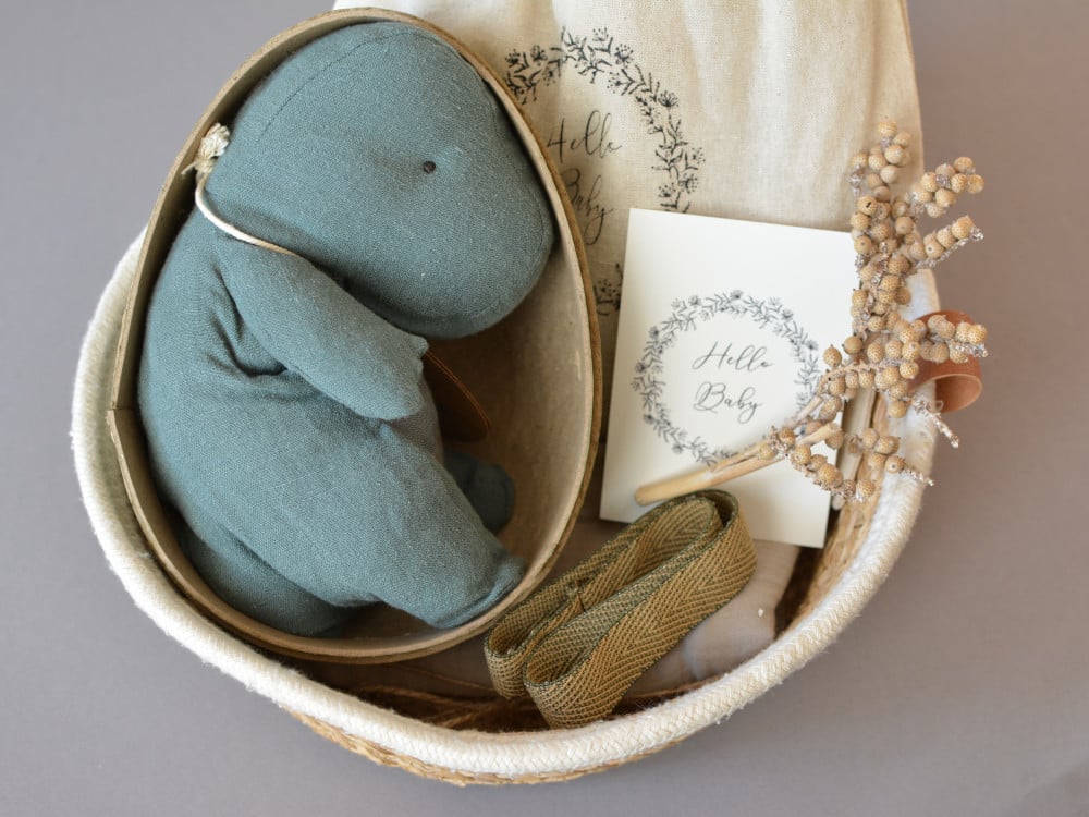 Grünes Babygeschenk Maileg Dino Jungen